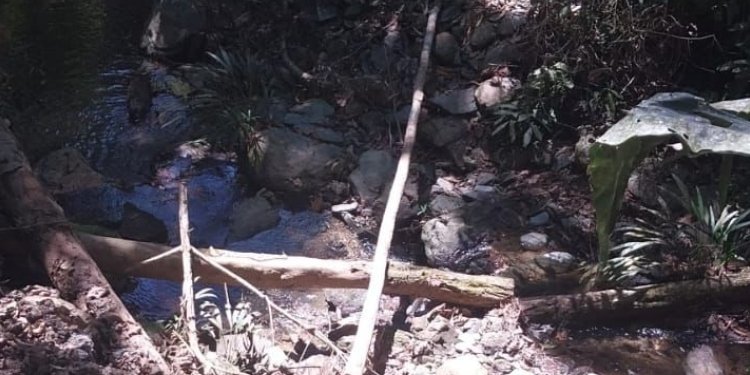 Cortolima intervino una mina ilegal en Falan 