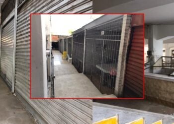 Los restaurantes de las plazas de mercado sufren la inclemencia del paro de transporte en Ibagué