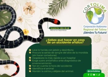 Cortolima trabaja en la prevención y manejo de accidentes ofídicos 