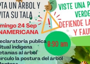Ambientalistas en Ibagué convocan a plantón y ritual para protestar por el arboricidio de la calle 60