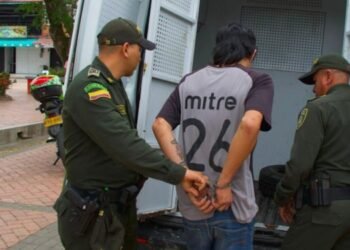 Enviaron a la cárcel al hombre que asesinó a su mascota en el barrio Topacio de Ibagué