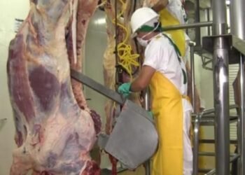 Distribuidores y vendedores de carne en el Tolima estarían aumentando el precio del alimento sin razón alguna 