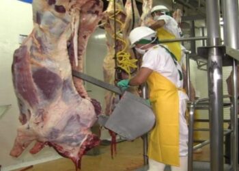 Aunque anunciaron que bajarián los precios de la carne en el Tolima, en Ibagué se mantiene alto