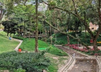 Alcaldía de Ibagué bajó pliegos de licitación irregular del parque Centenario de Ibagué