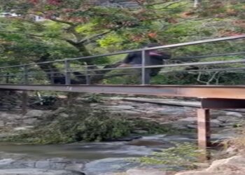 Por fin se inició la construcción de dos puentes en el corregimiento de San Bernardo y en Coello Cocora