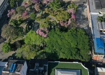 Ibagué Celebra una Excelente Calidad de Aire: Cortolima Confirma Resultados Positivos