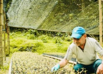 Cortolima Invita a la Ciudadanía a Participar en la Restauración Ecológica con Material Vegetal Gratuito