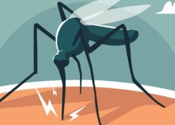 Identifica oportunamente los signos de alarma del dengue