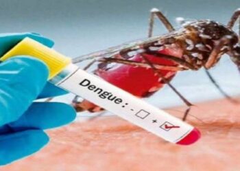 ¡Alerta! Contagiados con Dengue supero la cifra del año anterior en Tolima