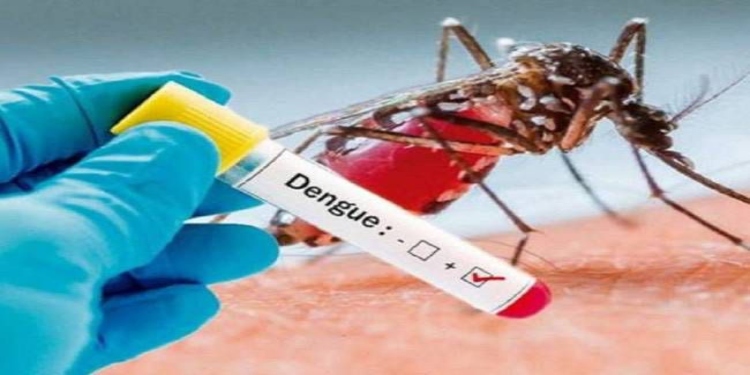 ¡Alerta! Contagiados con Dengue supero la cifra del año anterior en Tolima