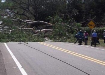 Vendaval dejó daños en vías de Mariquita afectando 1.400 familias 