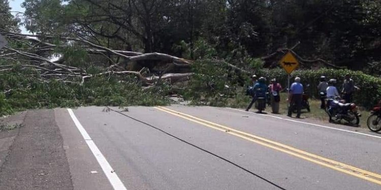 Vendaval dejó daños en vías de Mariquita afectando 1.400 familias