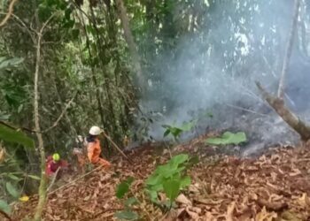 8 días han pasado sin lograr apagar el incendio subterráneo en Icononzo