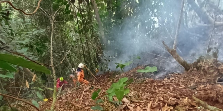 8 días han pasado sin lograr apagar el incendio subterráneo en Icononzo