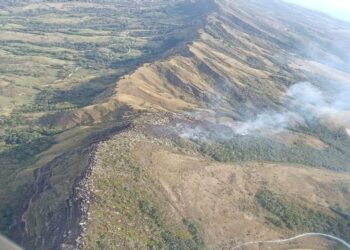 Mas de 200 hectáreas consumidas por incendio forestal en Dolores