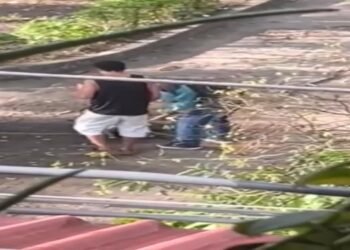 Asesinaron a un perro a golpes y grabaron el atroz crimen