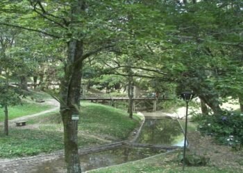 Ambientalistas logran que la Alcaldía de Ibagué retire proyecto para intervenir el parque Centenario