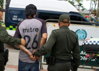 Animalistas rechazaron brutal asesinato de un perro en Ibagué