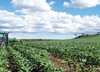 La temporada de calor continúa afectando las veredas Casa De Banco y China Alta
