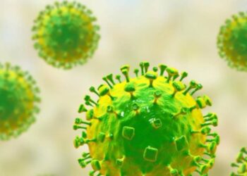 ¿Qué es la epidemia del mortal virus Nipah?