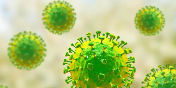 ¿Qué es la epidemia del mortal virus Nipah?