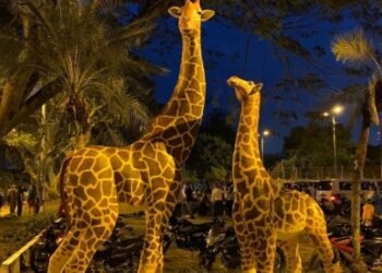 Residentes de la Ciudadela Simón Bolívar denuncian enfrentamientos a bala entre pandillas de Villa resistencia