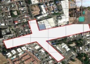 Denuncian que para construir el puente de la 60 talarán al menos 195 árboles