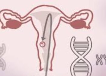 Sala Plena de la Corte Constitucional determinó que el aborto en Colombia sí es un derecho fundamental