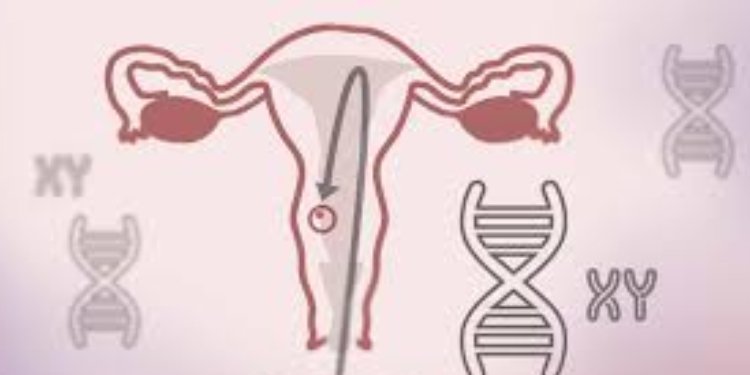 Sala Plena de la Corte Constitucional determinó que el aborto en Colombia sí es un derecho fundamental