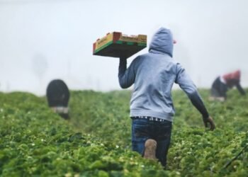 Juez ordena a CORTOLIMA y la Alcaldía de Cajamarca suspender la concertación del EOT