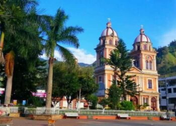 Altos costos de fertilizantes tiene en crisis agricultores en Cajamarca