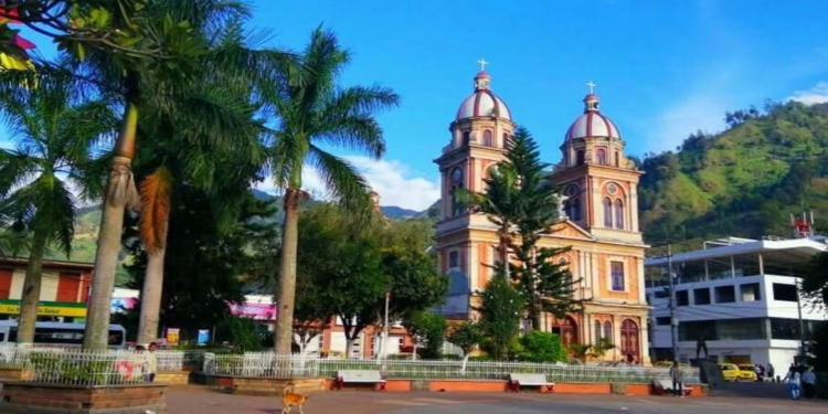 Altos costos de fertilizantes tiene en crisis agricultores en Cajamarca