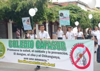 Estudiantes enseñarán cómo se puede prevenir el dengue en el Tolima