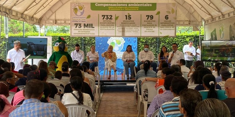 15 municipios del departamento se vieron beneficiados con las compensaciones ambientales de Cortolima