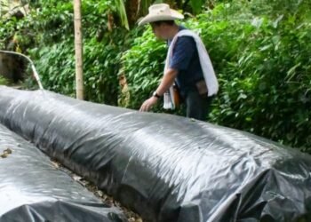 50 Negocios Verdes del Tolima llegan al Eje Cafetero 