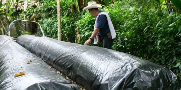 50 Negocios Verdes del Tolima llegan al Eje Cafetero 