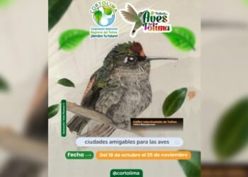 Inició el ‘Octavo Festival de Aves’ organizado por Cortolima