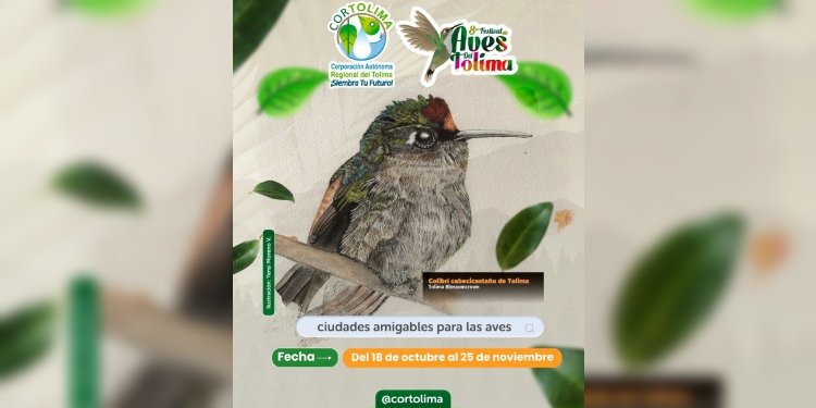 Inició el ‘Octavo Festival de Aves’ organizado por Cortolima