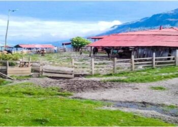 Fue asesinado el administrador de la finca Esportilla en Cajamarca