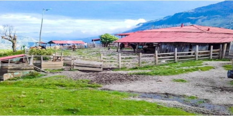 Fue asesinado el administrador de la finca Esportilla en Cajamarca