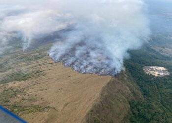 600 hectáreas fueron consumidas por incendio forestal en Purificación