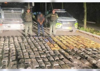 141 kilos de marihuana fueron incautados en Lérida