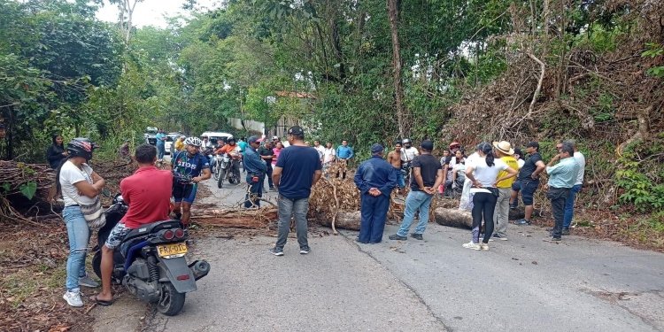 Sin luz permanecen habitantes del Alto de la Palma en Melgar