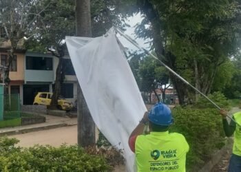 Según el director de Espacio Público, están cumpliendo con los operativos para retirar la publicidad política no autorizada