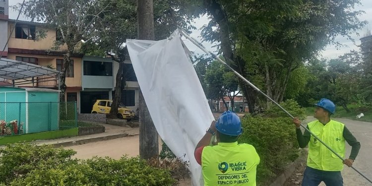 Según el director de Espacio Público, están cumpliendo con los operativos para retirar la publicidad política no autorizada