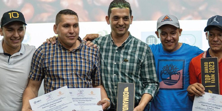 El Tolima vuelve a quedarse con el premio Taza a la Excelencia del Café