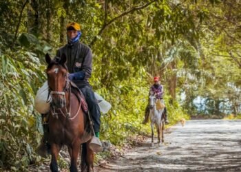 Más de 60 mil millones costará el mejoramiento de la vía Coyaima – Ataco – Señoritas