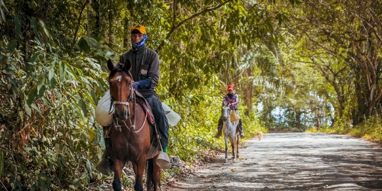 Más de 60 mil millones costará el mejoramiento de la vía Coyaima – Ataco – Señoritas