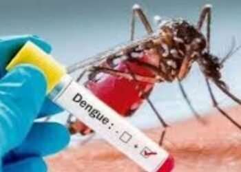 Extreme cuidados para prevenir el dengue durante la semana de receso 