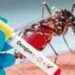 Extreme cuidados para prevenir el dengue durante la semana de receso 